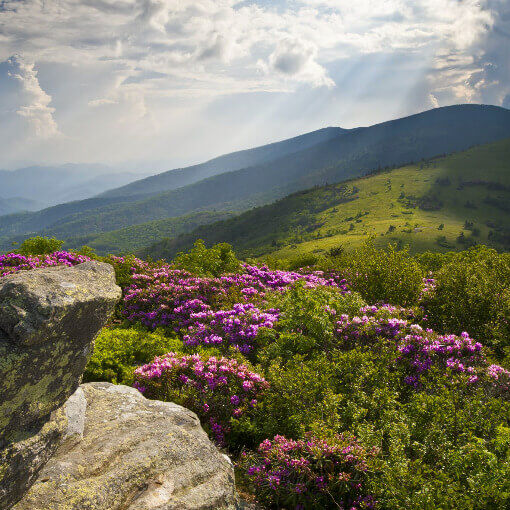 NC Mountains